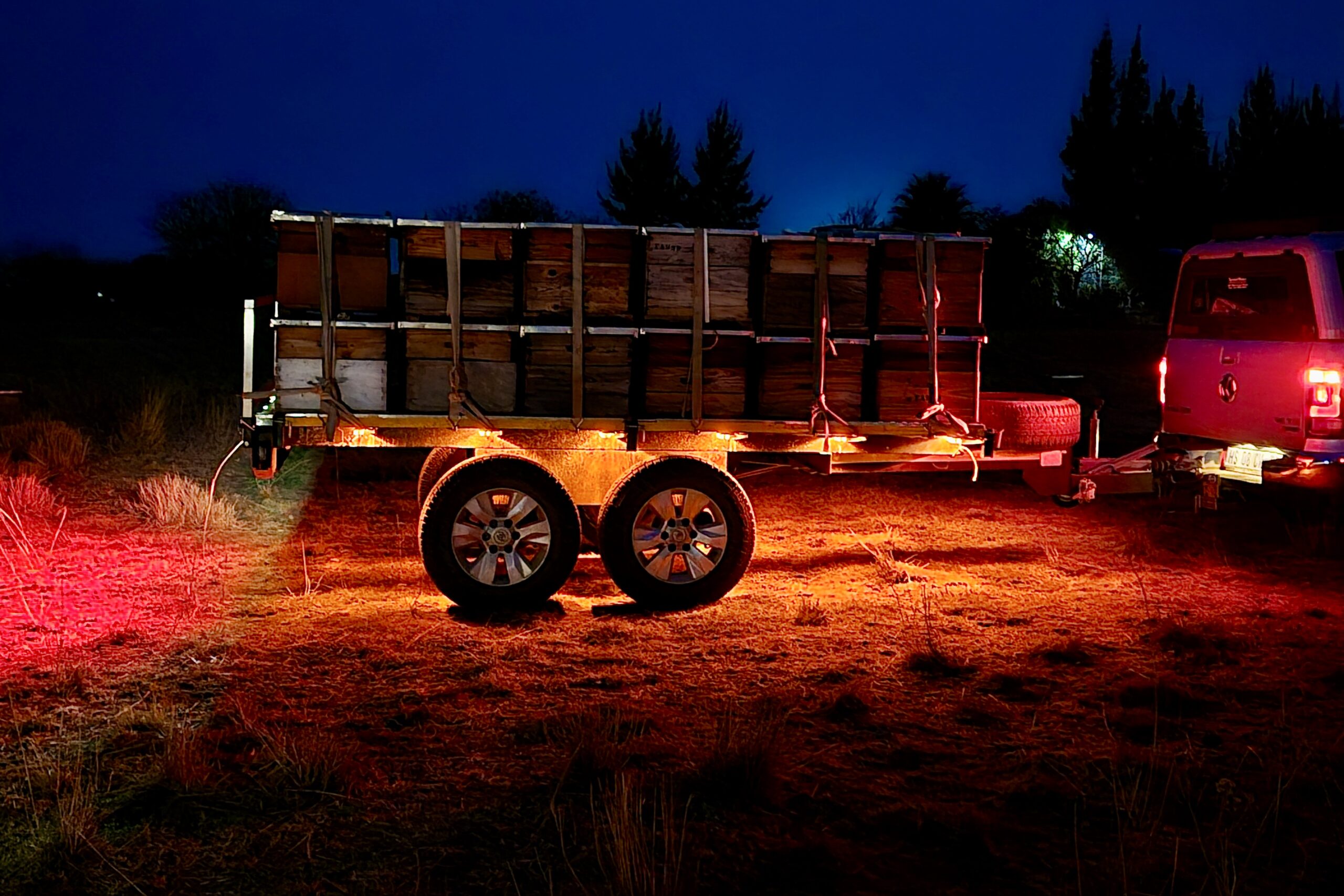 african beekeeping safaris what to do in south africa